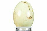 Polished Citron (Lemon) Chrysoprase Egg - Western Australia #312672-1